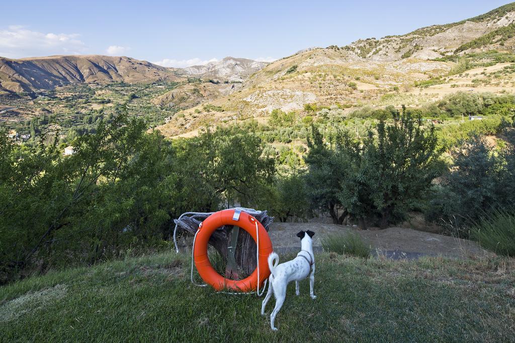 La Almunia Del Valle Monachil Εξωτερικό φωτογραφία
