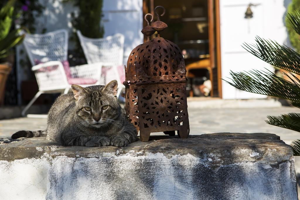 La Almunia Del Valle Monachil Εξωτερικό φωτογραφία